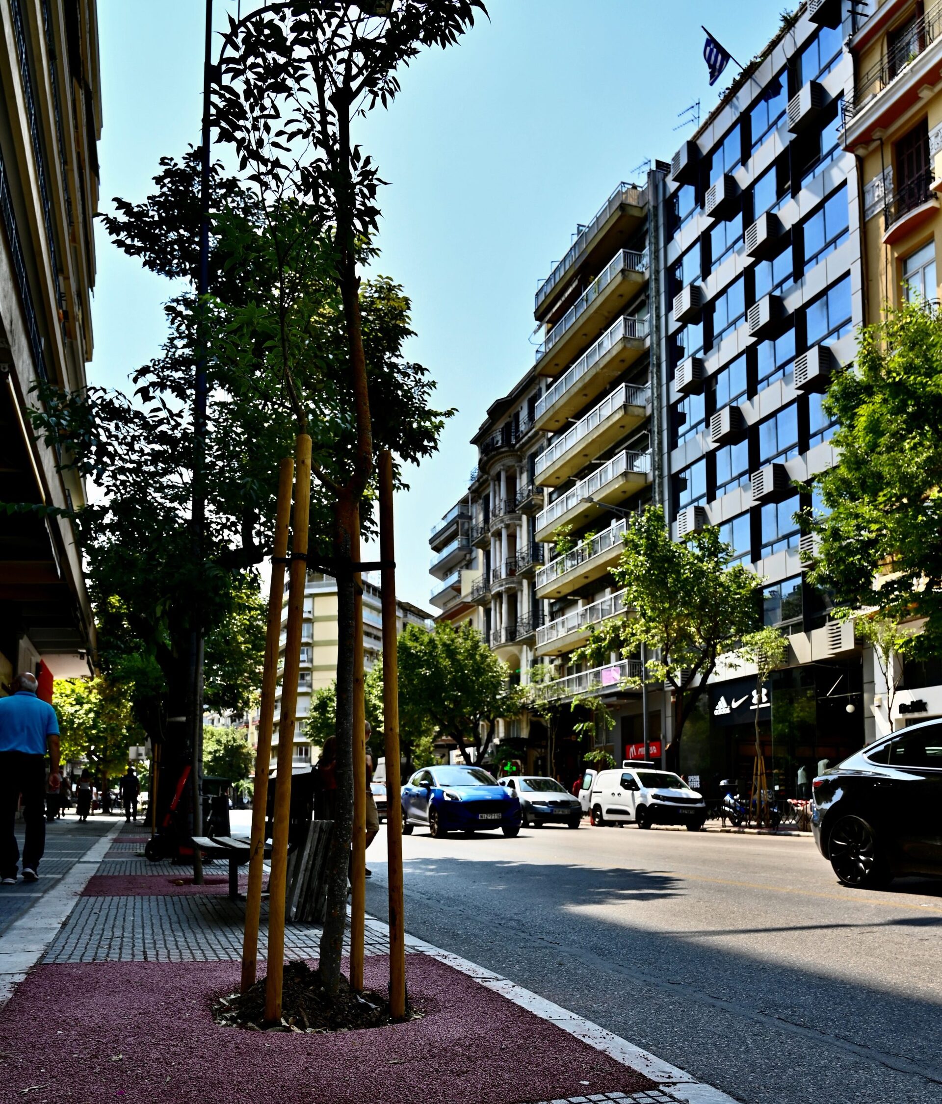 Εσωτερική εικόνα άρθρου