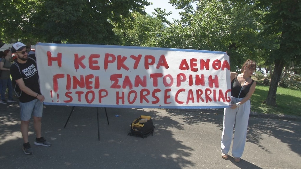 Εσωτερική εικόνα άρθρου