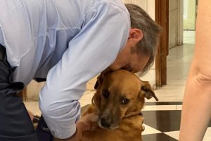 Μητσοτάκης