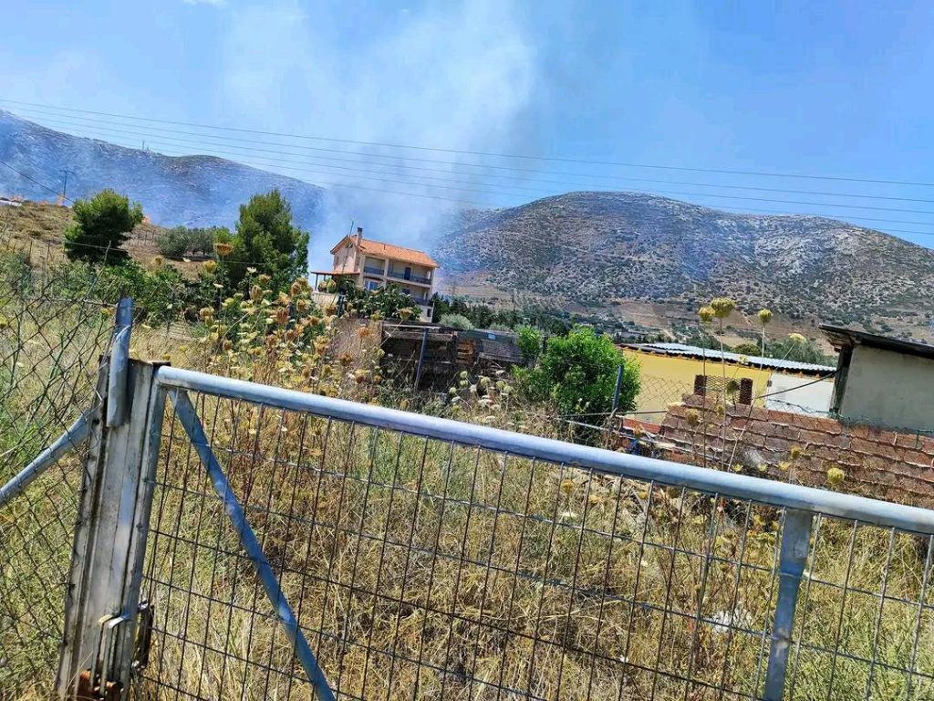 Συναγερμός στην Πυροσβεστική για φωτιά στην Κερατέα