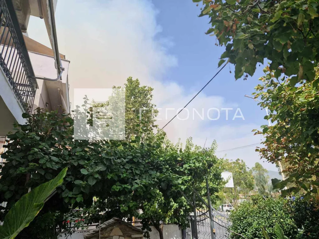 Φωτιά στο Βελεστίνο: Αγνοείται 45χρονος βοσκός στον Άγιο Γεώργιο Φερρών