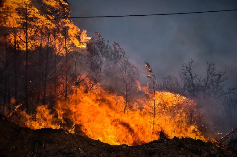 Φωτιά τώρα: Ολονύχτιο θρίλερ σε Εβρο, Καβάλα, Ροδόπη, Βοιωτία, Κύθνο και Εύβοια – Δύο οι νεκροί, καμένα σπίτια και δεκάδες εκκενώσεις – Έκτακτα μέτρα και συναγερμός και για την Τρίτη