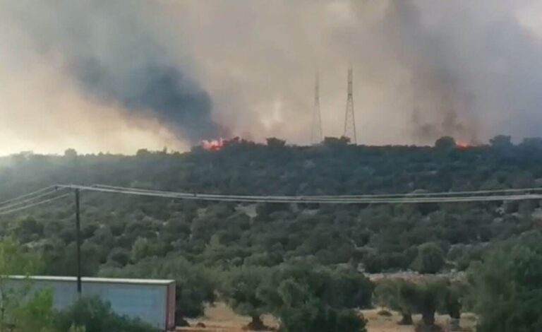 Αναζωπύρωση της φωτιάς στην θέση Καραούλι, στη Μάνδρα – Πού διακόπηκε η κυκλοφορία