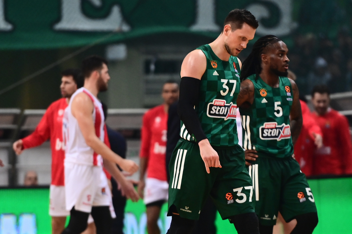 Ματέους Πονίτκα