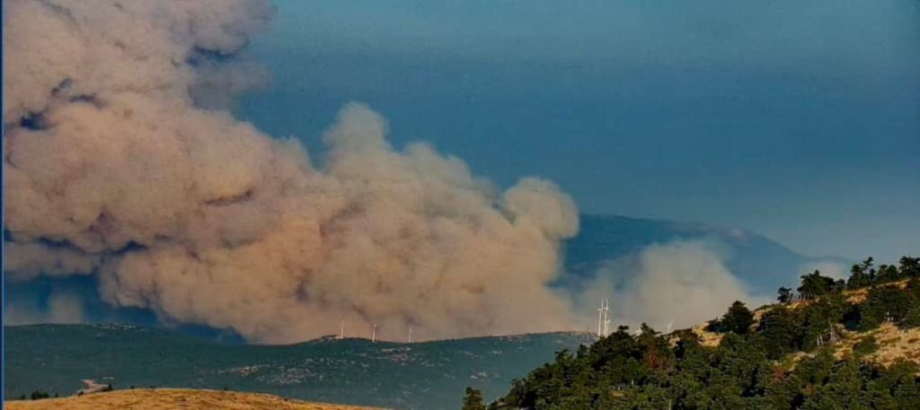 Φωτιά στα Δερβενοχώρια: Δύσκολη η μάχη με τις φλόγες – Προς τη Μαγούλα κινείται το μέτωπο
