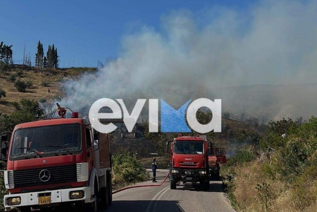 Φωτιά στην Εύβοια: Νέος συναγερμός στην Πυροσβεστική – Στο χωριό Κοντοδεσπότι οι φλόγες