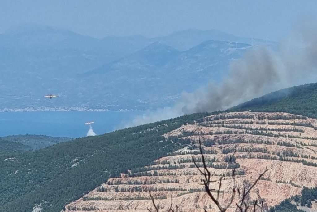 Φωτιά στον Ωρωπό: Μεγάλη πυρκαγιά στο δάσος Μαυροσουβάλας, κλειστοί δρόμοι – Οι πρώτες εικόνες