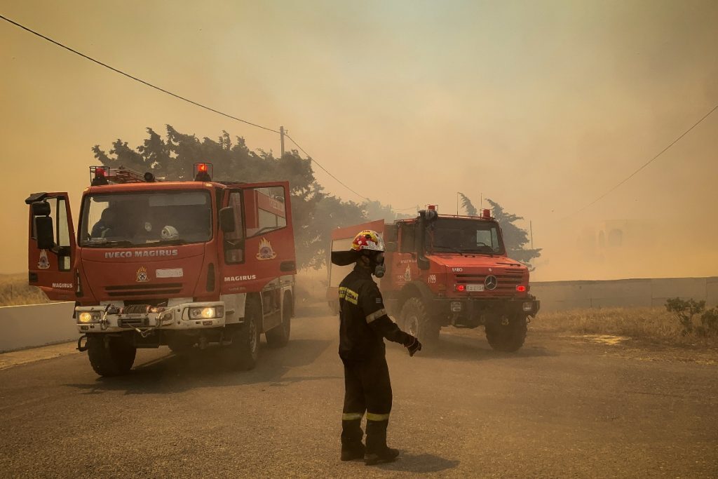 Εκδόθηκε η ΚΥΑ για την προκαταβολή 50% της κρατικής αρωγής για τις ζημιές σε φυτικό κεφάλαιο κατά τι