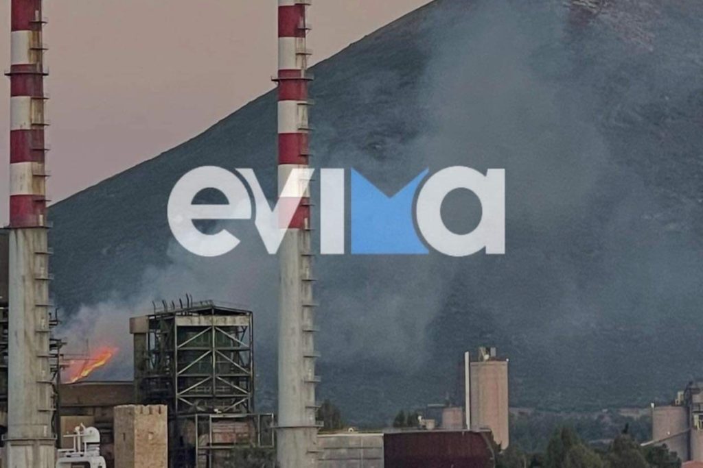 Φωτιά τώρα στην Εύβοια κοντά στο εργοστάσιο της ΔΕΗ – Οι πρώτες εικόνες