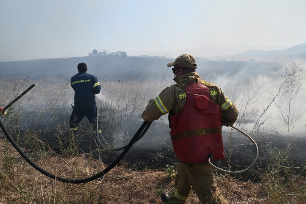 Συναγερμός στην Πυροσβεστική για φωτιά στην Τανάγρα