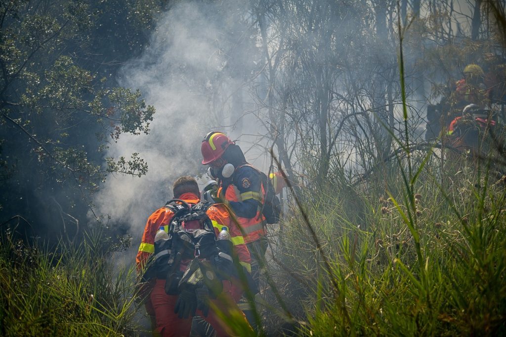 Φωτιά στην Αρχαία Ολυμπία: Προσήχθη ύποπτος για απόπειρα εμπρησμού σε δάσος – Μαίνεται η μάχη σε πολλαπλά μέτωπα, μία ανάσα από κατοικημένη περιοχή οι φλόγες [βίντεο]