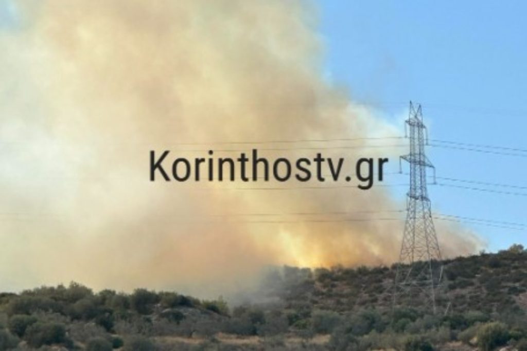 Φωτιά τώρα στην Κόρινθο [βίντεο]