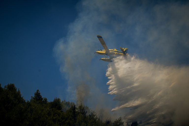 Φωτιά στην Ηλεία: Τέσσερα πύρινα μέτωπα σε λίγα λεπτά – Καταγγελίες για σχέδιο εμπρησμού [βίντεο]