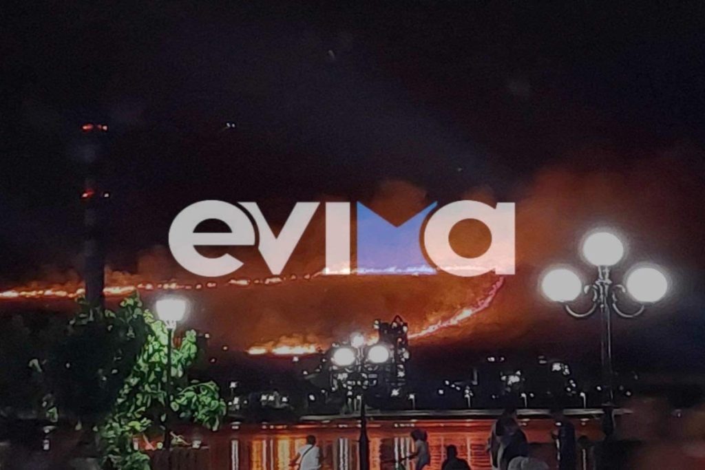 Φωτιά στην Εύβοια: Ολονύχτιο θρίλερ στο Αλιβέρι – Πύρινη κόλαση πίσω από το εργοστάσιο της ΔΕΗ