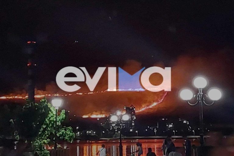 Φωτιά στην Εύβοια: Ολονύχτιο θρίλερ στο Αλιβέρι – Πύρινη κόλαση πίσω από το εργοστάσιο της ΔΕΗ [εικόνες-βίντεο]