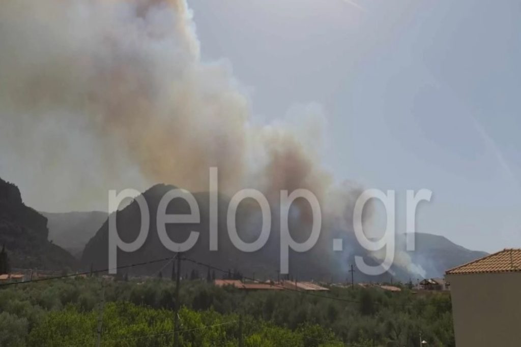 Φωτιά στο Αίγιο: Εικόνες κόλασης στην περιοχή – Άλλαξε φορά το μέτωπο, εκκενώνονται δύο οικισμ