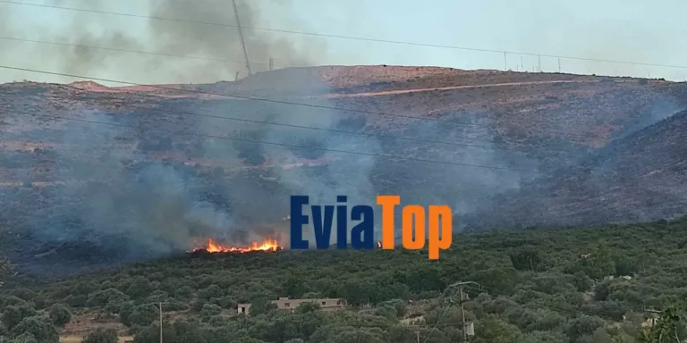 Φωτιά στο Αλιβέρι: Οριοθετημένη περιμετρικά χάρη στα εναέρια – Συνελήφθη 75χρονος