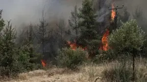 κίνδυνος πυρκαγιάς