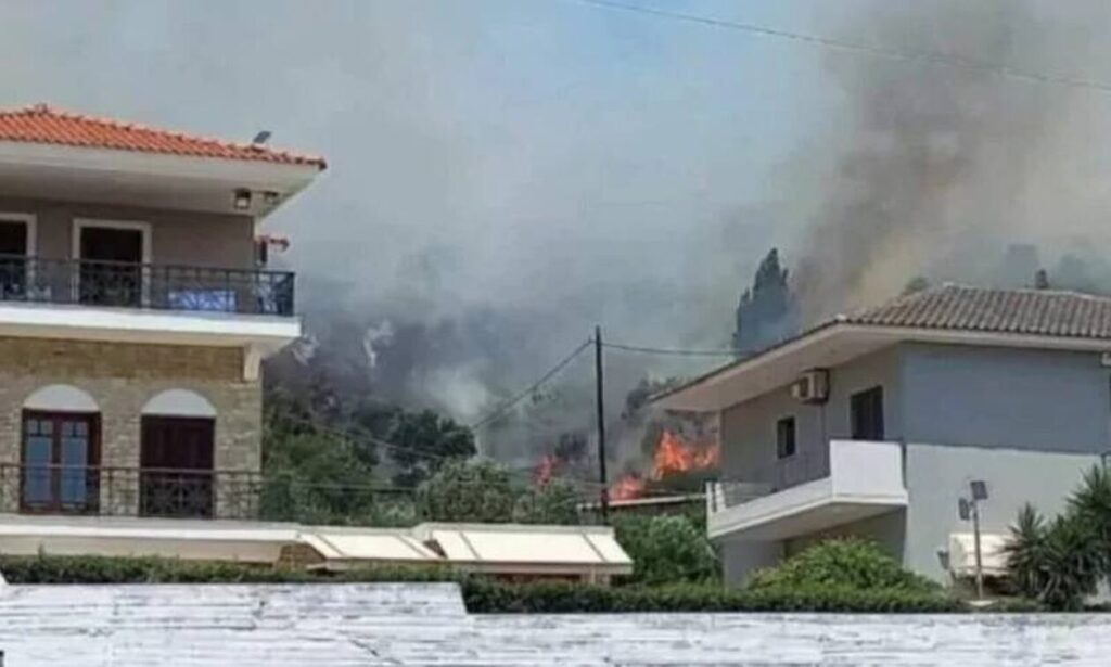 Ναύπακτος: Συνελήφθηκαν δυο ανήλικοι και κατηγορούνται για εμπρησμό