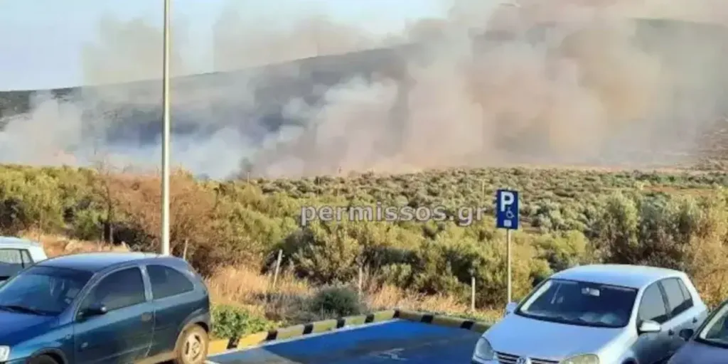 Οριοθετήθηκε η φωτιά στη Βοιωτία -Ισχυρές δυνάμεις στο σημείο [εικόνες]