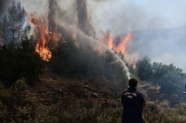 ΕΛΕΤΑΕΝ: Καμία συσχέτιση πυρκαγιών και ανεμογεννητριών