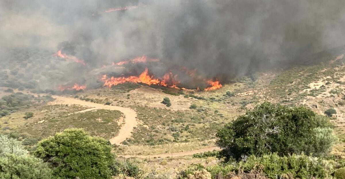 Φωτιά Κάρυστο