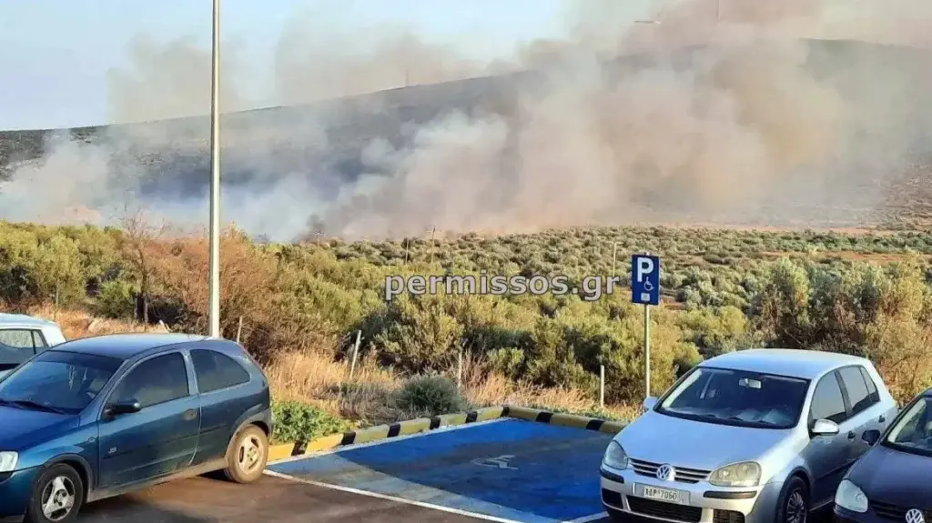 Φωτιά τώρα σε δάσος της Βοιωτίας – Ηχησε το 112 [δείτε βίντεο]