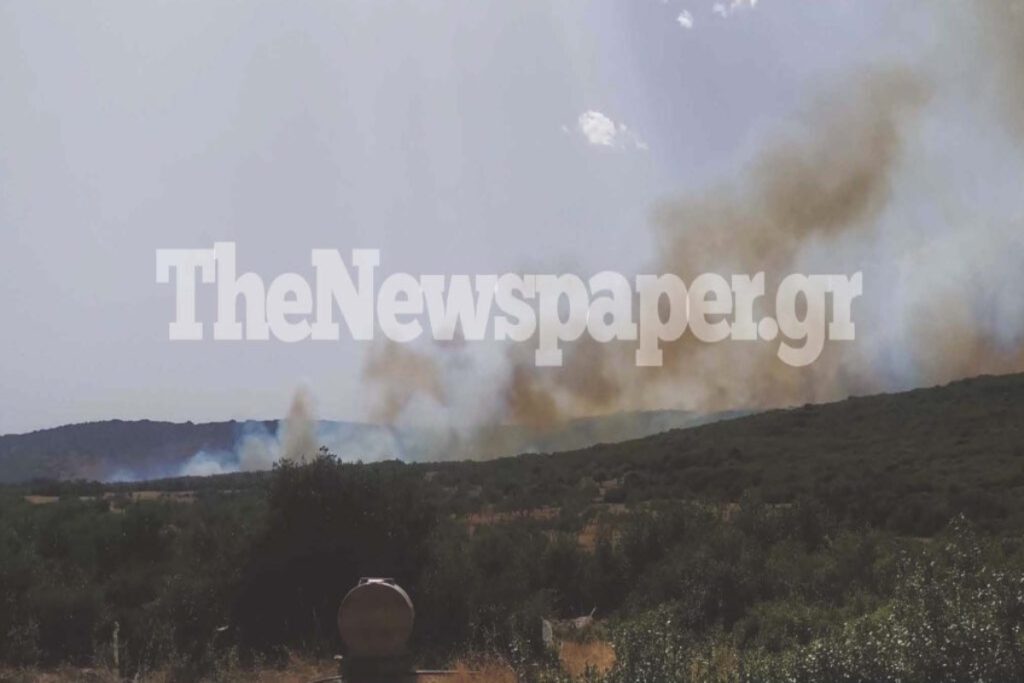 Φωτιά στη Μαγνησία: Οριοθετήθηκε το μέτωπο – Συνεχείς εκρήξεις από το πεδίο βολής