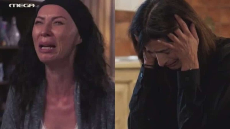 Γη της Ελιάς