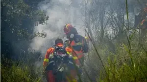 φωτιές Έβρος φωτιά