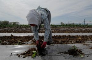 Ευρωπαϊκή Ένωση
