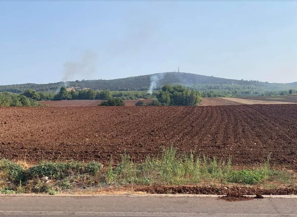 Φωτιά στον Αυλώνα: Αποκαλυπτικές φωτογραφίες από τις απόπειρες εμπρησμών