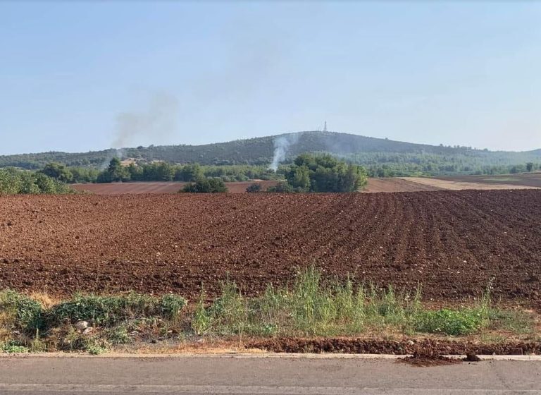Φωτιά στον Αυλώνα: Αποκαλυπτικές φωτογραφίες από τις απόπειρες εμπρησμών