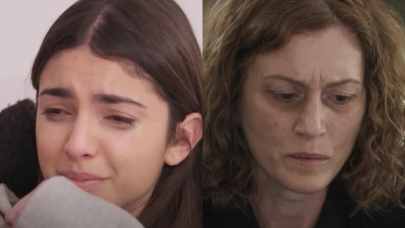 Η Γη της Ελιάς