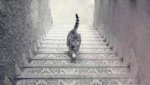 Οφθαλμαπάτη