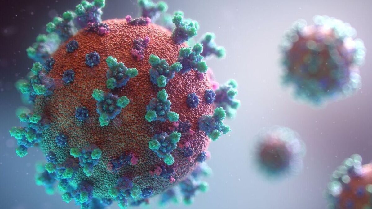 Στρεπτόκοκκος: Αυξάνονται ραγδαία τα κρούσματα - 48 από τις αρχές του 2024 και 12 θάνατοι – Η ανακοίνωση του ΕΟΔΥ