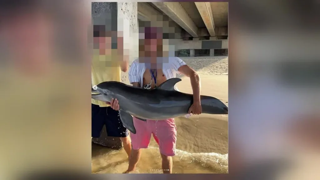 Έφηβος έβγαλε δελφίνι από το νερό για selfie και αυτό πέθανε – Απειλές για τη ζωή του δέχεται 