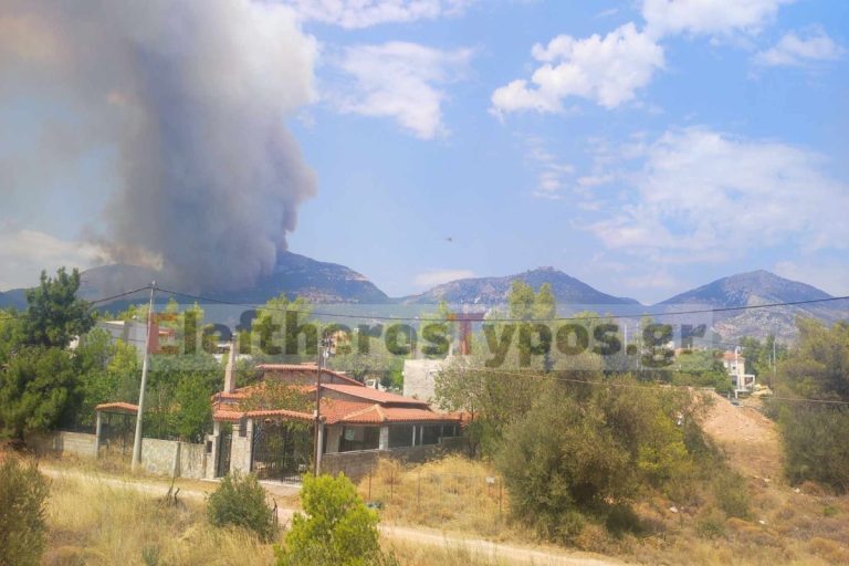 Φωτιά στην Πάρνηθα: Μπήκαν στον Εθνικό Δρυμό οι φλόγες – Δραματικές ώρες σε Αγία Παρασκευή και Καποτά – Καίγονται σπίτια, τρέχουν να σωθούν οι πολίτες [βίντεο]
