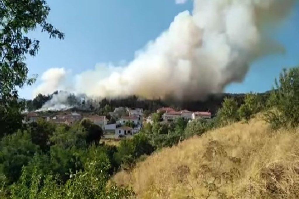 Φωτιά τώρα στην Αρκαδία – Οι φλόγες απειλούν σπίτια