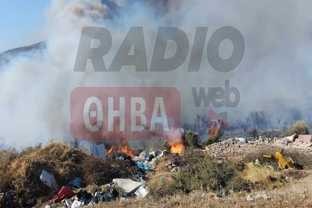 Φωτιά στη Βοιωτία: Nεκρός βοσκός – Προσπάθησε να σώσει τα ζώα του