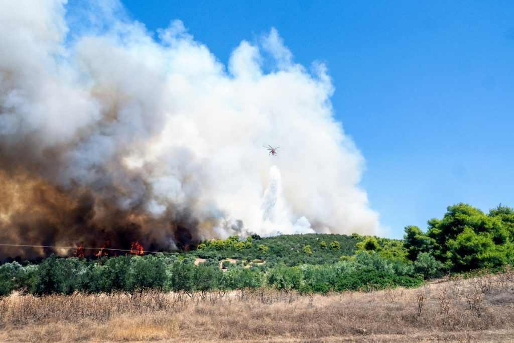Φωτιά στην Εύβοια: Εφιαλτική νύχτα σε Αρτάκη και Ψαχνά – Ξεπερνούν τα 7 μποφόρ οι άνεμοι [βίντ