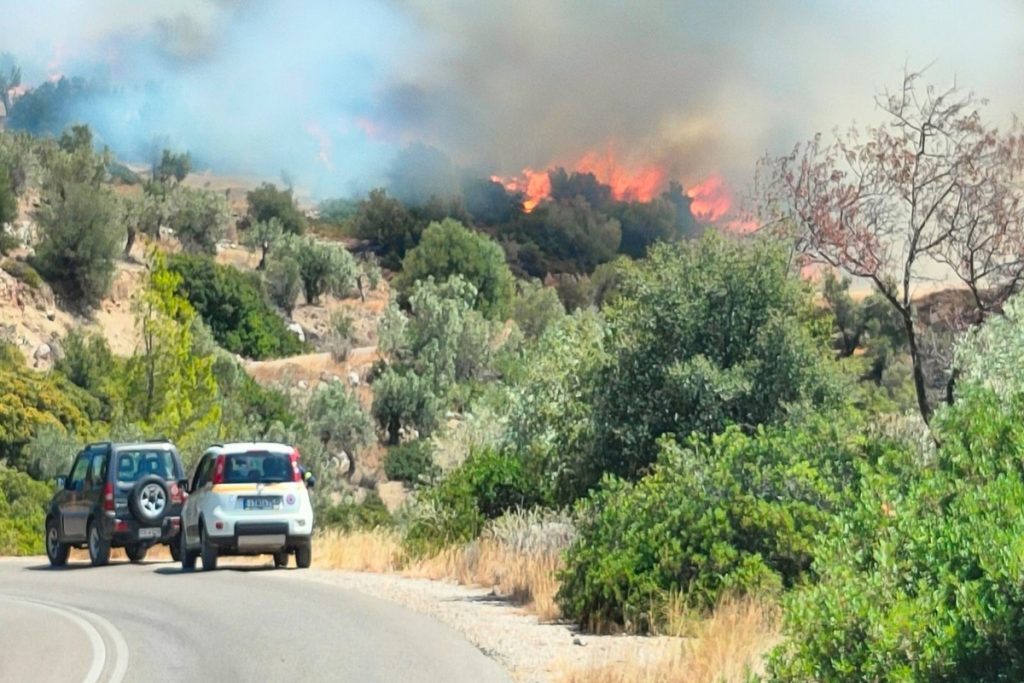 Φωτιά στην Αλίαρτο: Οριοθετήθηκε το πύρινο μέτωπο -Είχε ηχήσει το 112