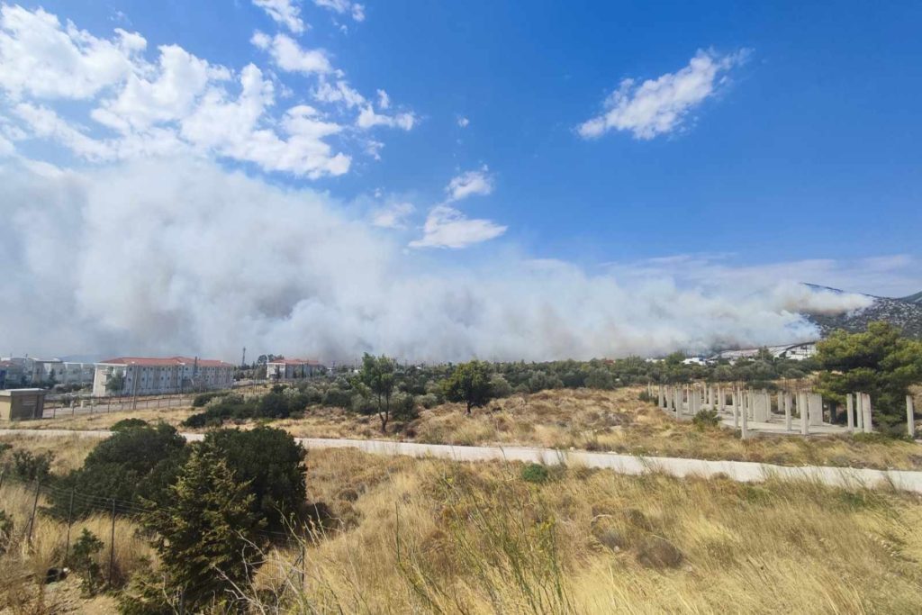 Φωτιά στην Πάρνηθα: Πρωτοφανής πύρινη κόλαση – Εκκενώνεται η Αμυγδαλέζα και τρεις οικισμοί 