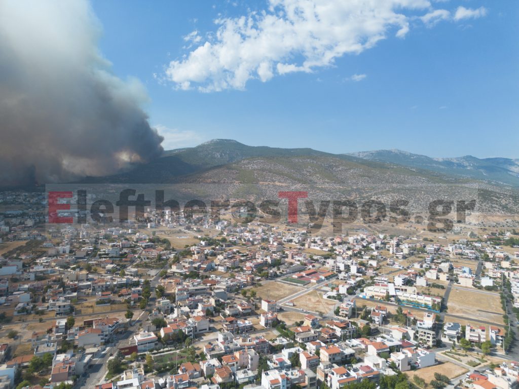 Κρανίο εντόπισαν εθελοντές στην καμένη περιοχή της Φυλής