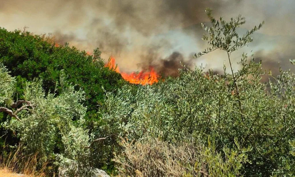 Φωτιά τώρα: Τιτάνια μάχη με τις φλόγες σε Καβάλα, Εύβοια, Βοιωτία, Ροδόπη και Αλεξανδρούπολη –