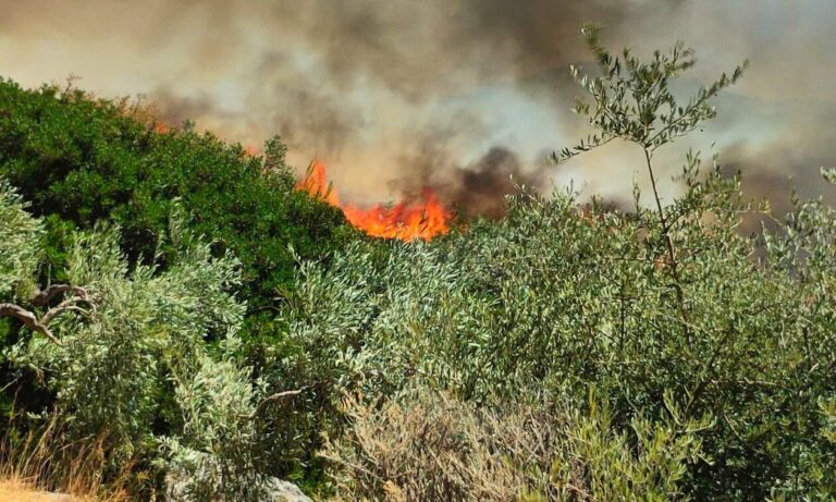 Φωτιά τώρα: Τιτάνια μάχη με τις φλόγες σε Καβάλα, Εύβοια, Βοιωτία, Ροδόπη και Αλεξανδρούπολη – Εκκενώσεις οικισμών, τραυματισμοί πυροσβεστών [συνεχής ενημέρωση]