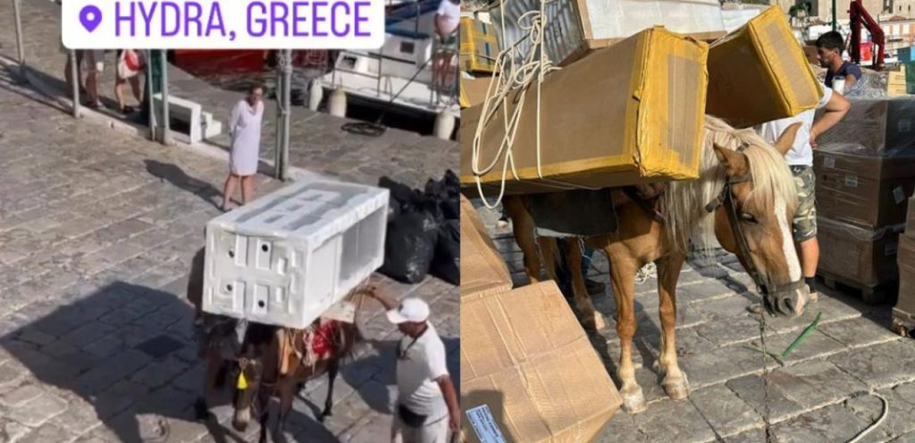 Εικόνες ντροπής από την Ύδρα: Γαϊδουράκι παραπατά κουβαλώντας ψυγείο μες στη ζέστη