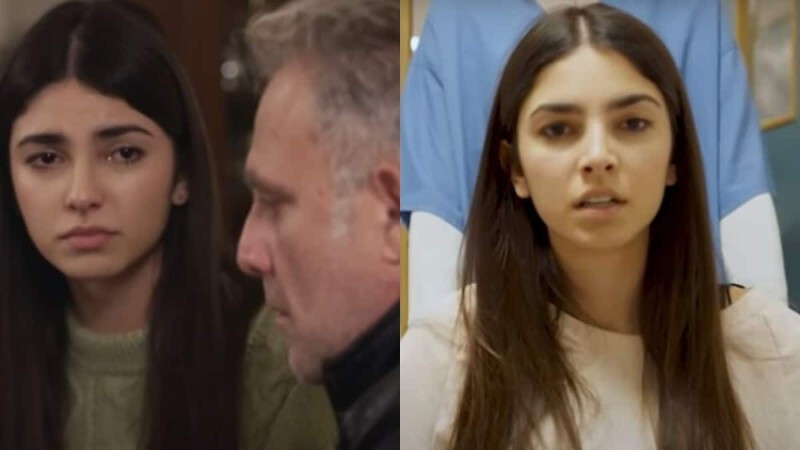 H Γη της Ελιάς