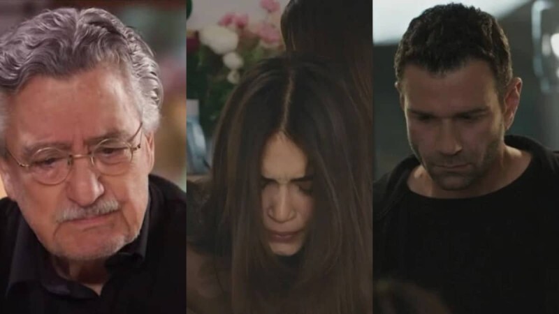 Γη της Ελιάς