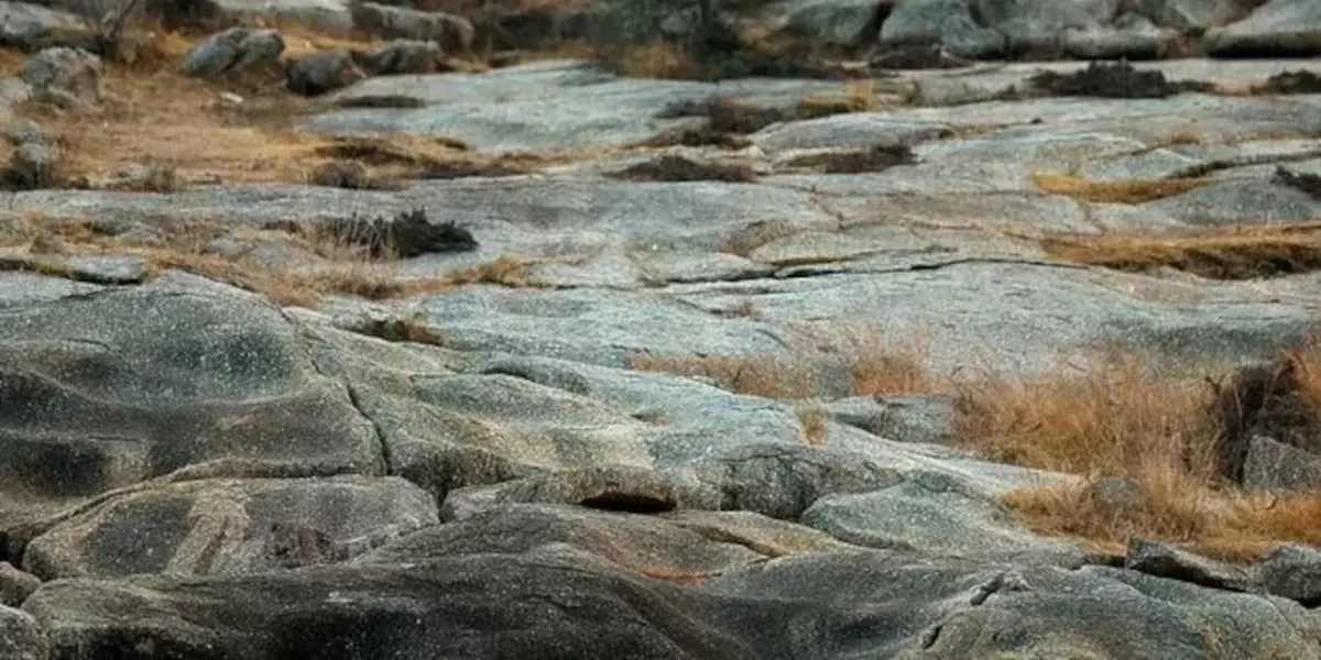 οφθαλμαπάτη